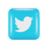 Twitter Profile
